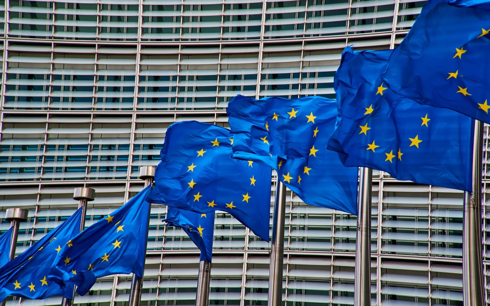 August Medical Device Regulatory Updates